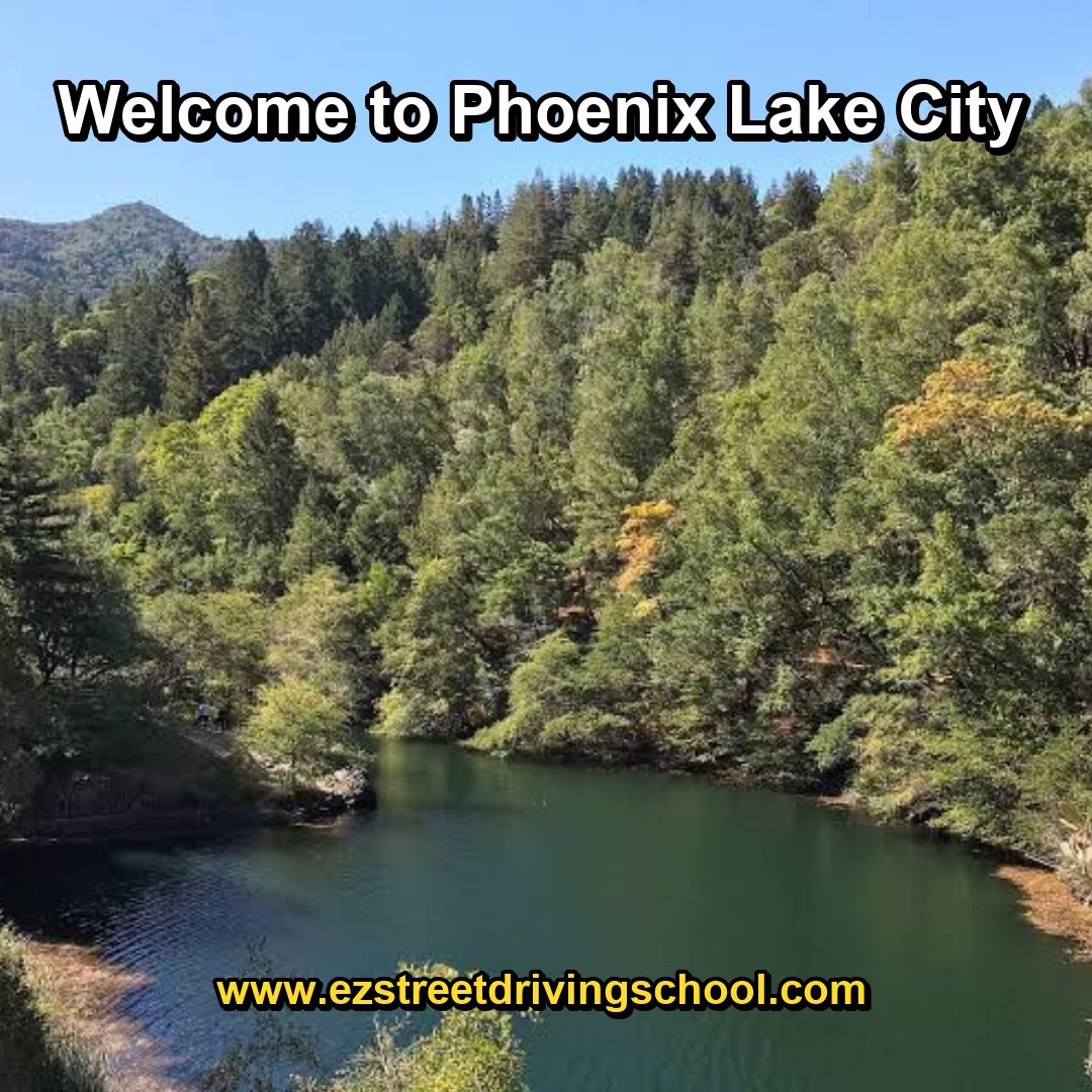 Driving Lessons in Phoenix Lake